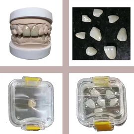 Le laboratoire dentaire transparent usine la boîte en plastique élastique de dent de Membrance pour le dentier