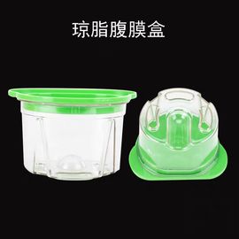 Le laboratoire dentaire de matériel solide usine le modèle de reproduction en plastique d'agar de dentier de flacon